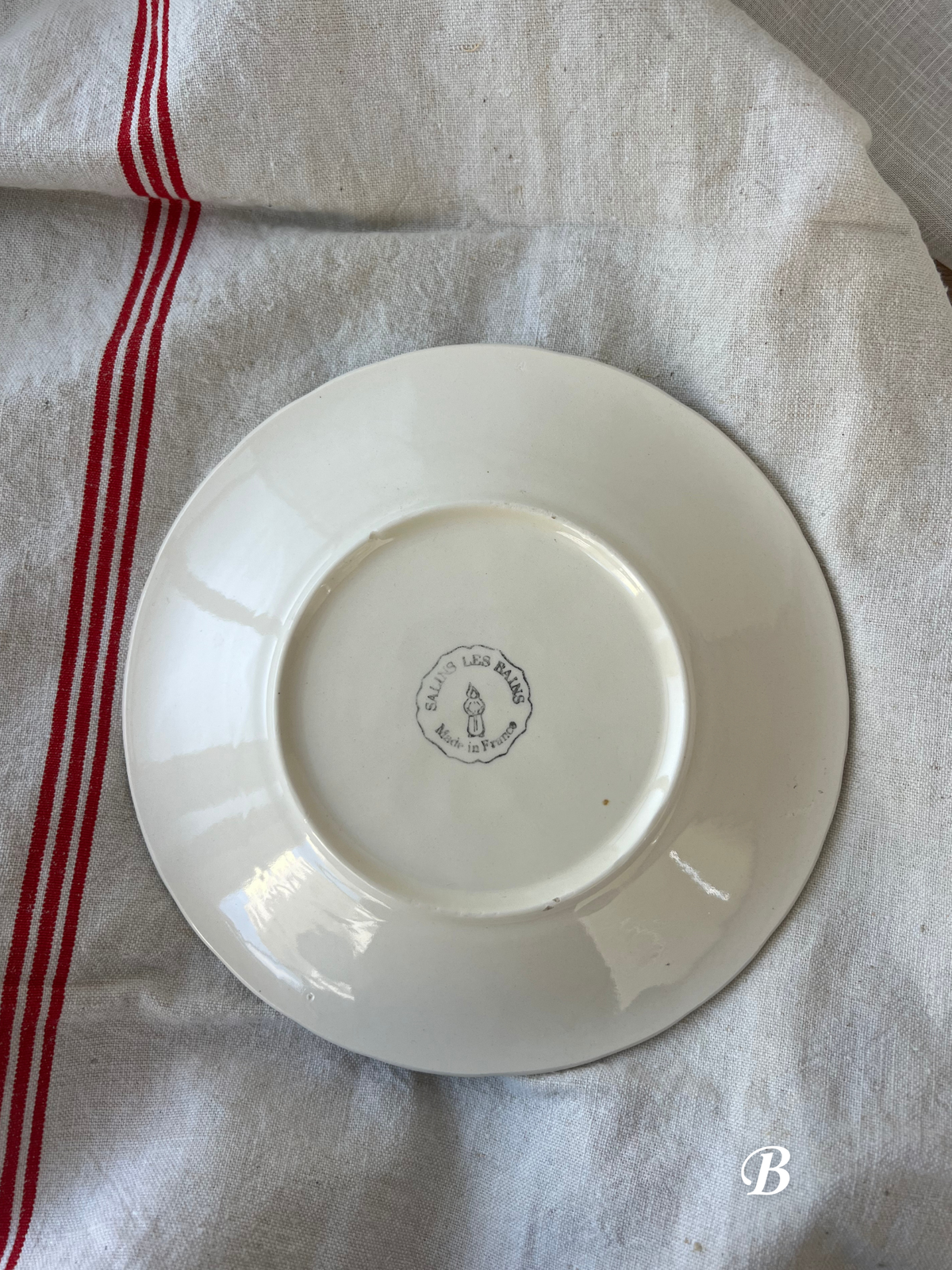 SALINS LES RAISINS Barbotine Dessert Plate 19.8cm｜サラン レ レザン バルボティーヌ