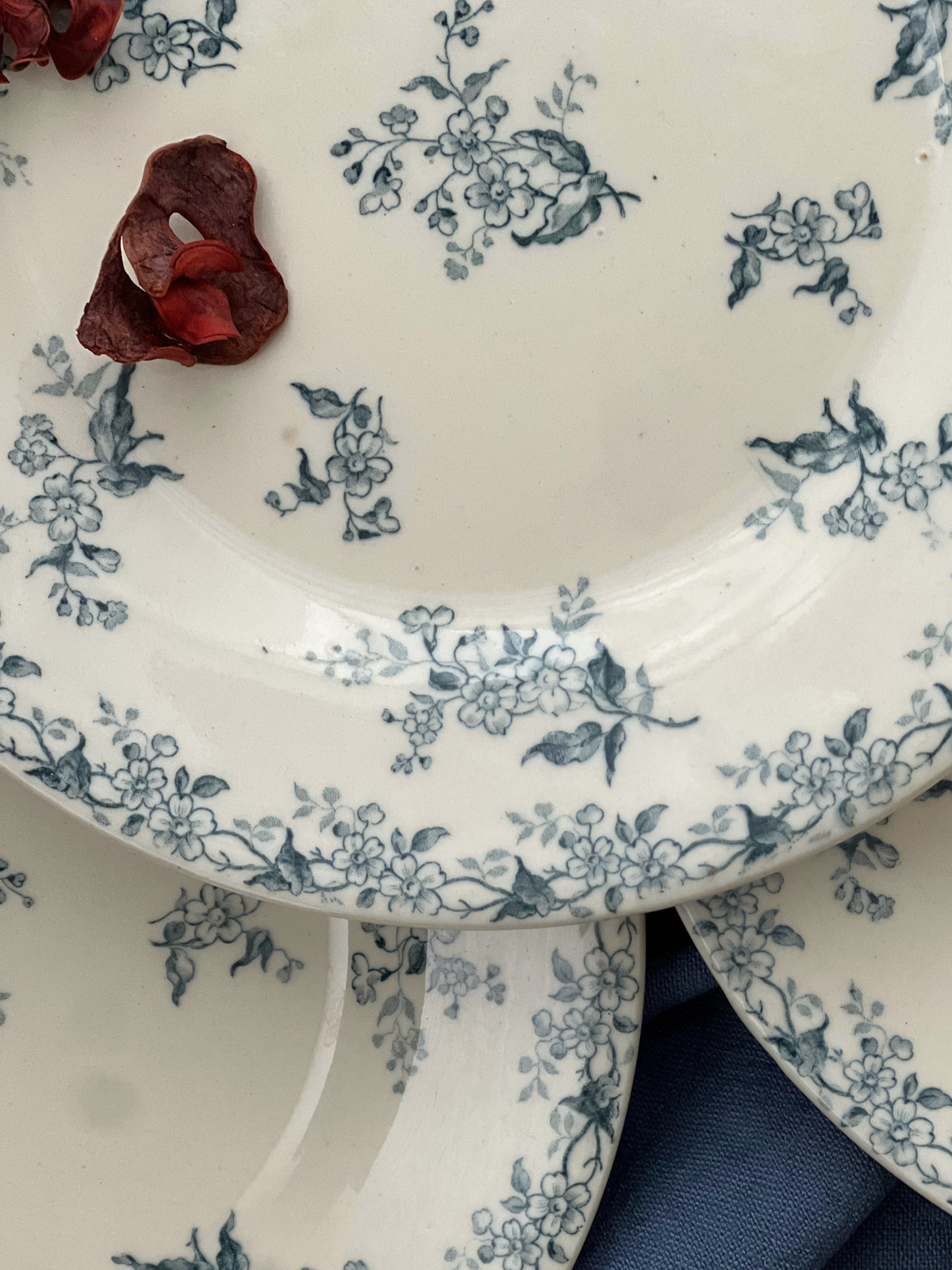 GIEN AVRIL　平皿 21cm｜ジアン アヴリル  