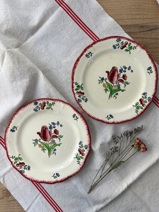 Gien Lorraine 平皿 22cm｜ジアン ロレーヌ