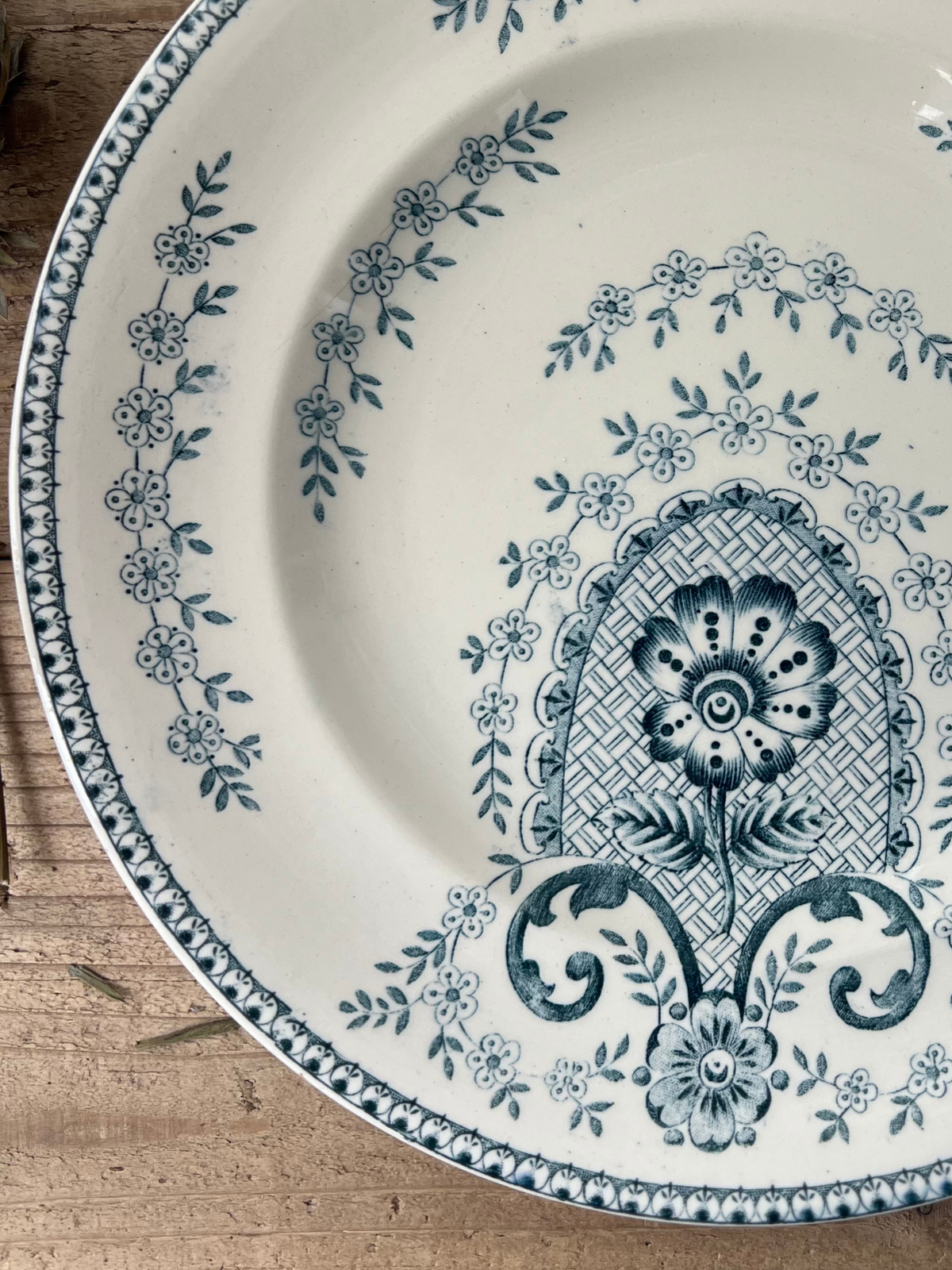 LONGWY CLUNY Plate 23cm｜ロンウィ クリュニー